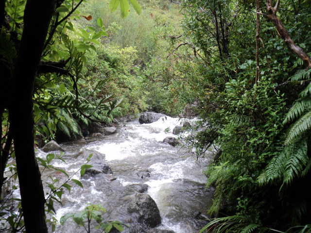 Name:  picture 8200.jpg
Views: 496
Size:  164.0 KB