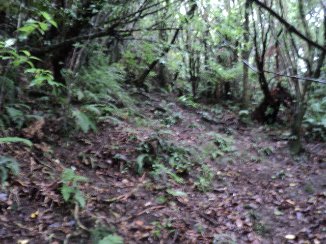 Name:  picture 8208.jpg
Views: 548
Size:  163.0 KB