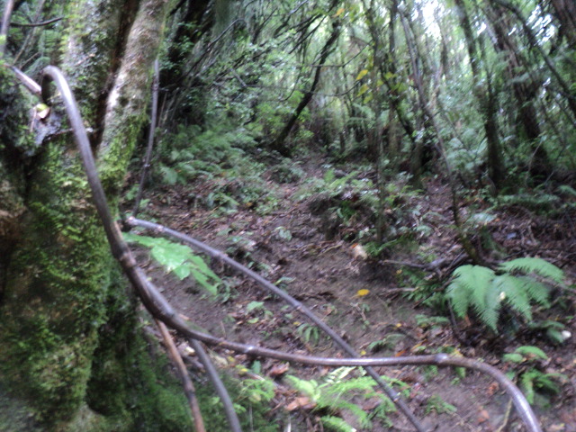 Name:  picture 8209.jpg
Views: 520
Size:  165.2 KB