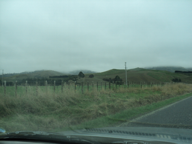 Name:  picture 8215.jpg
Views: 433
Size:  164.4 KB