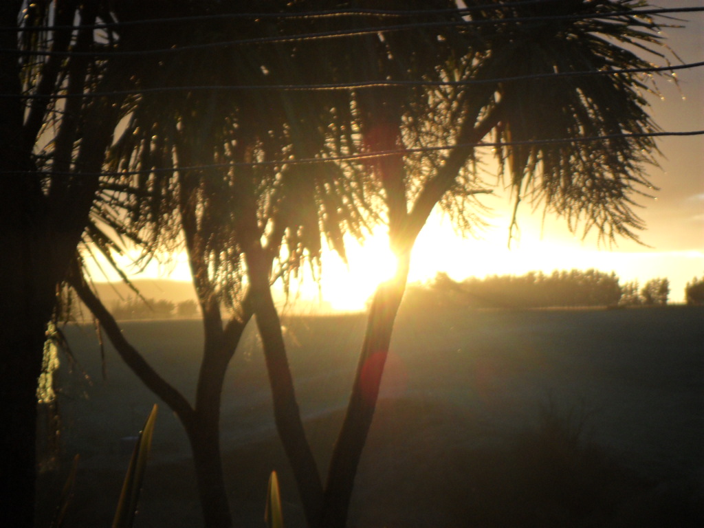 Name:  SAM_0802.JPG
Views: 448
Size:  340.2 KB