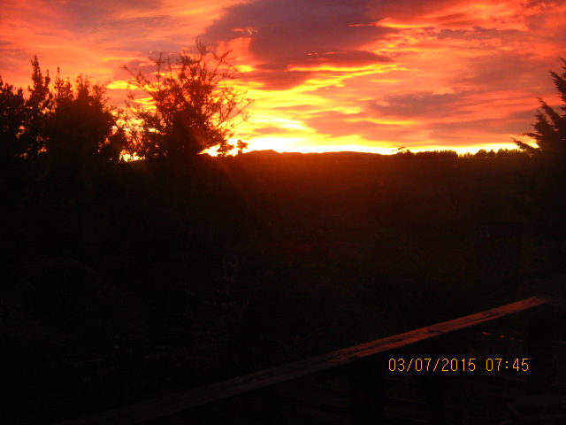 Name:  IMG_2896.JPG
Views: 576
Size:  88.5 KB