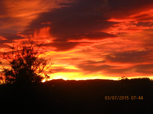Name:  IMG_2895.JPG
Views: 470
Size:  97.4 KB