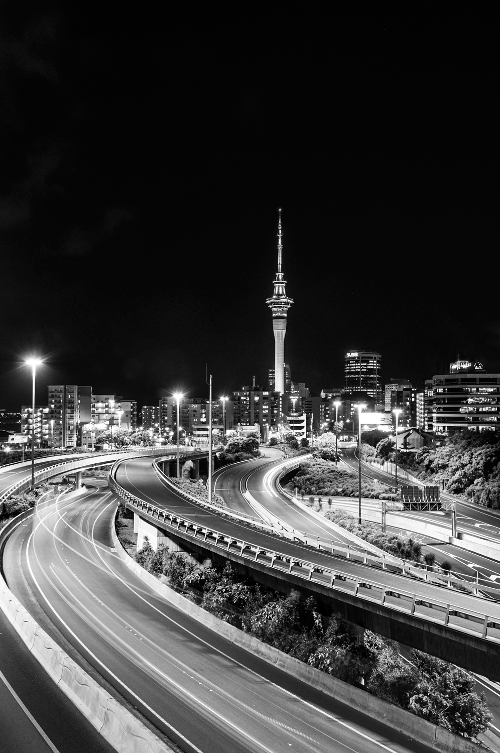 Name:  Canvas-Auckland-Portrait.jpg
Views: 417
Size:  740.0 KB
