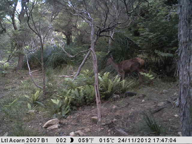 Name:  nov 24.JPG
Views: 1733
Size:  40.6 KB
