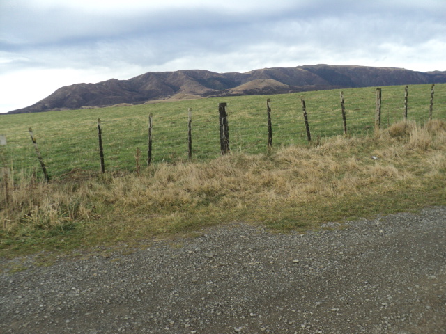 Name:  picture 8775.jpg
Views: 708
Size:  164.9 KB
