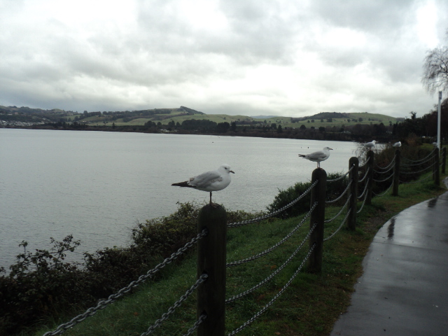 Name:  picture 8793.jpg
Views: 703
Size:  164.7 KB