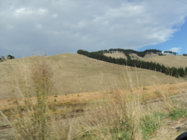 Name:  picture 8801.jpg
Views: 650
Size:  163.6 KB