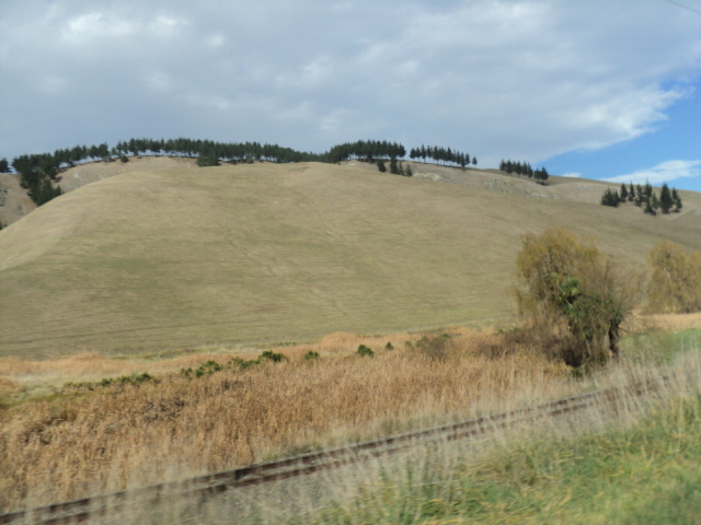 Name:  picture 8802.jpg
Views: 752
Size:  164.8 KB