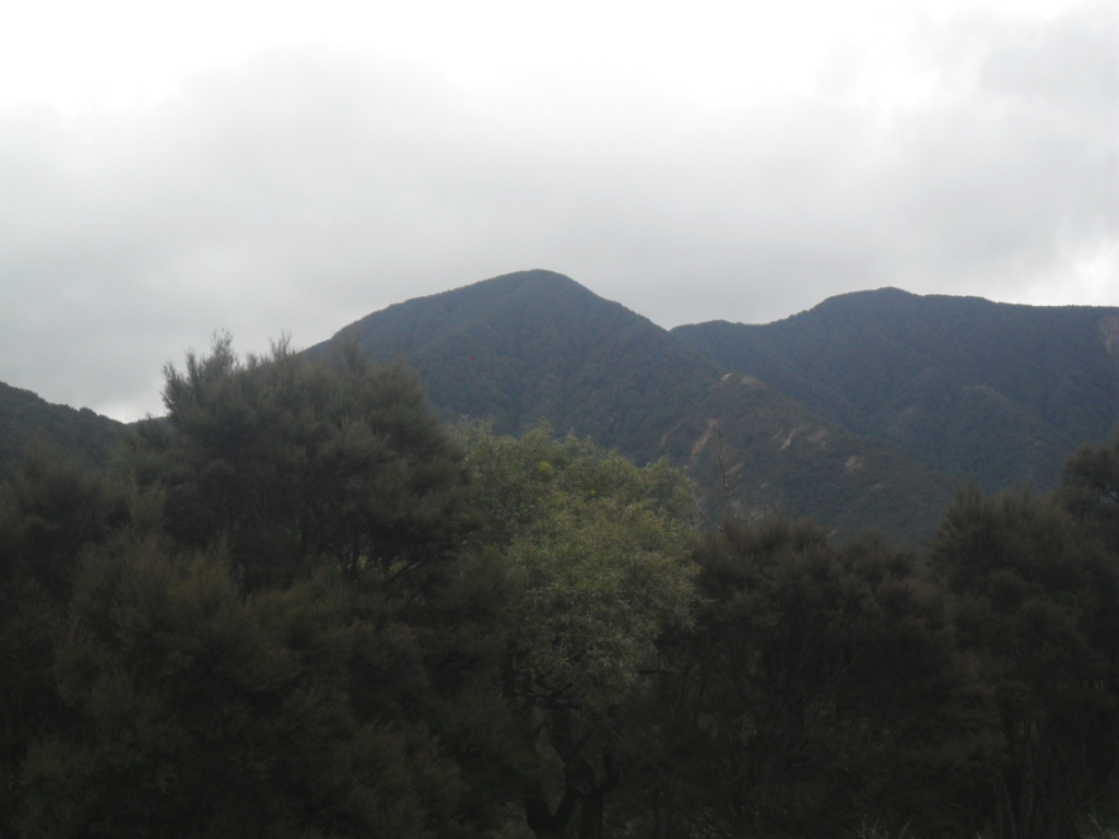 Name:  SAM_1102.JPG
Views: 146
Size:  319.1 KB