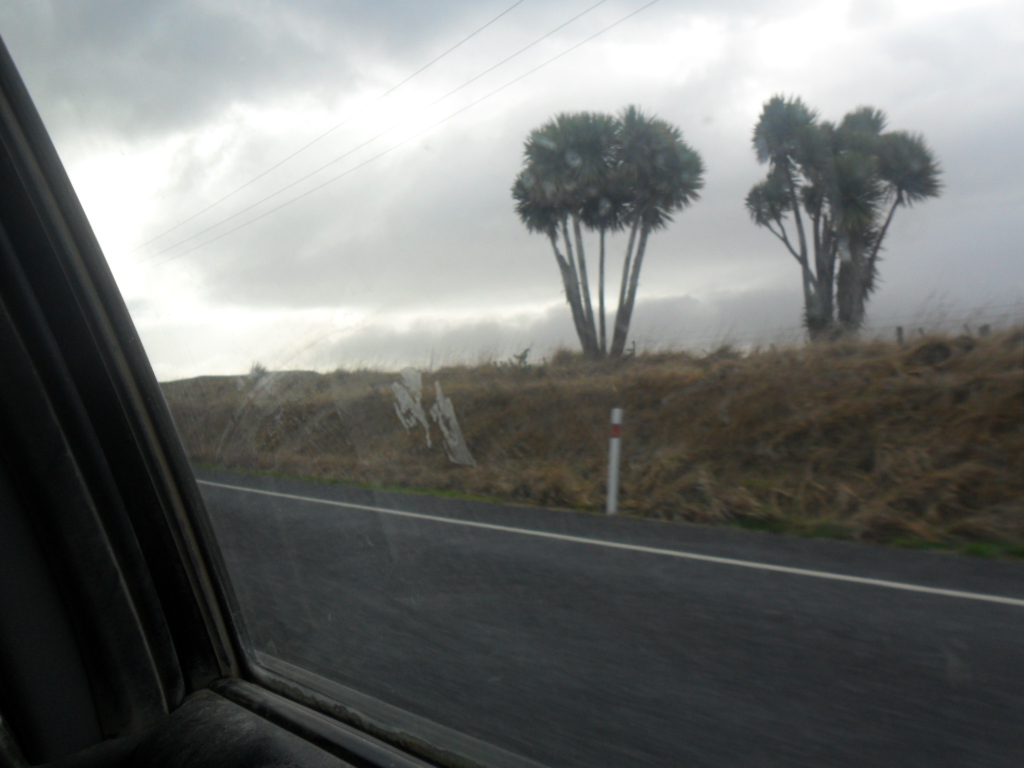 Name:  SAM_1119.JPG
Views: 150
Size:  343.8 KB