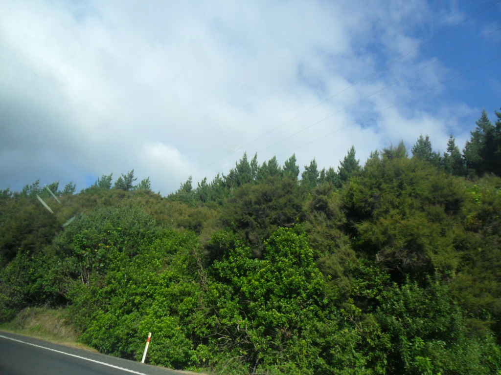 Name:  SAM_1146.JPG
Views: 141
Size:  409.1 KB