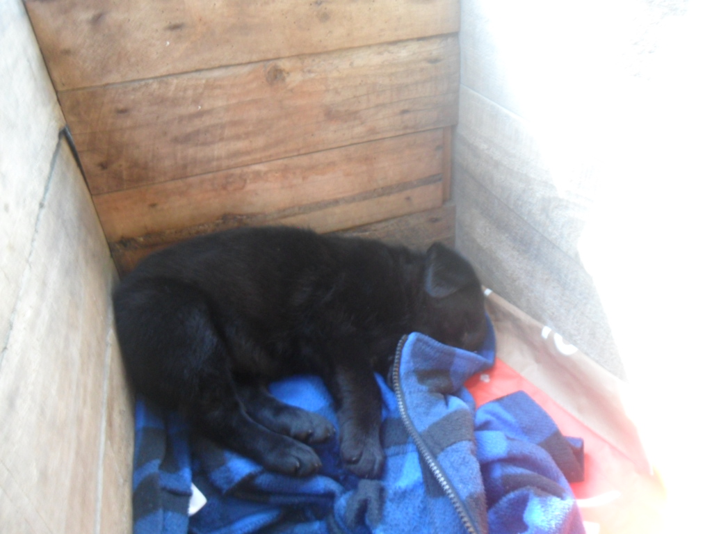 Name:  SAM_1147.JPG
Views: 132
Size:  365.8 KB