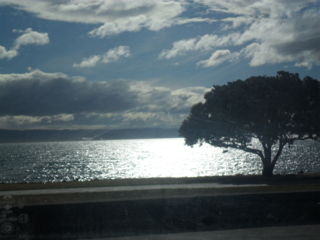 Name:  SAM_1172.JPG
Views: 123
Size:  333.5 KB