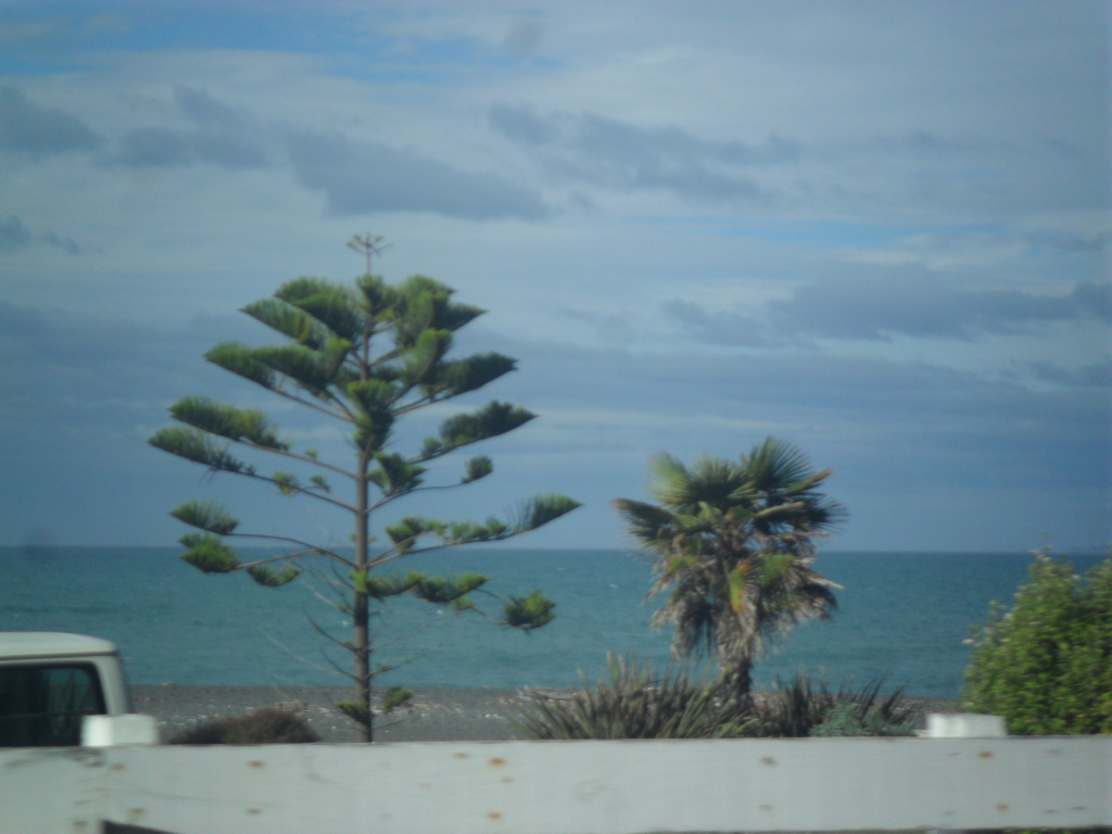 Name:  SAM_1179.JPG
Views: 139
Size:  339.2 KB