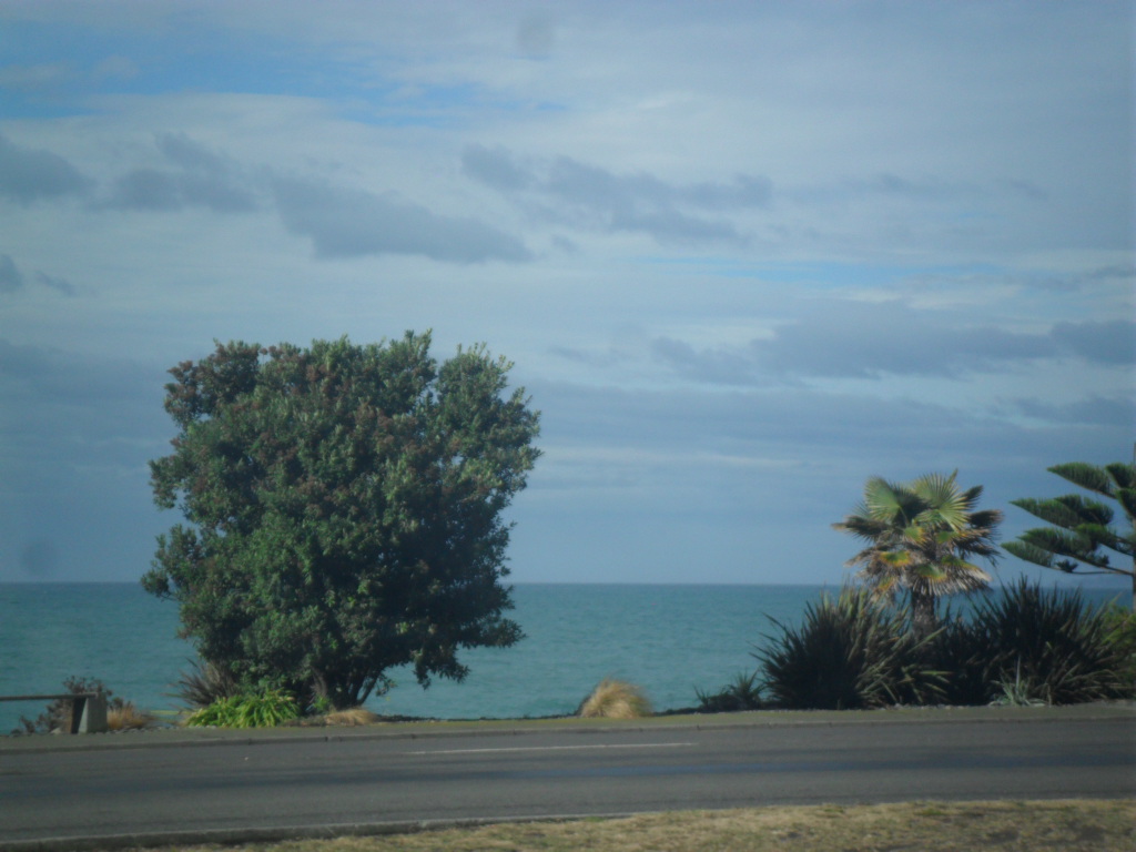 Name:  SAM_1181.JPG
Views: 133
Size:  330.7 KB