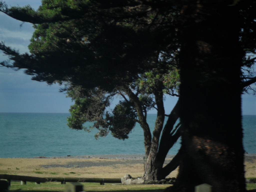 Name:  SAM_1182.JPG
Views: 144
Size:  337.6 KB