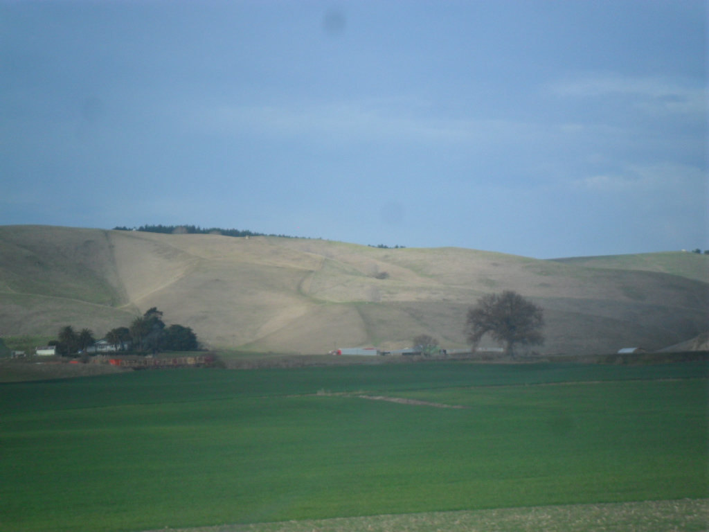 Name:  SAM_1188.JPG
Views: 148
Size:  323.8 KB