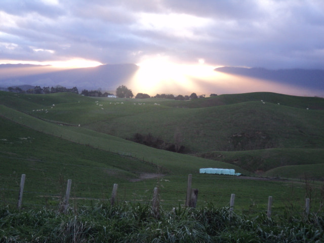 Name:  picture 9048.jpg
Views: 226
Size:  164.4 KB