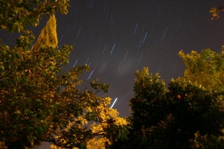 Name:  IMG_2558sm.JPG
Views: 917
Size:  23.5 KB