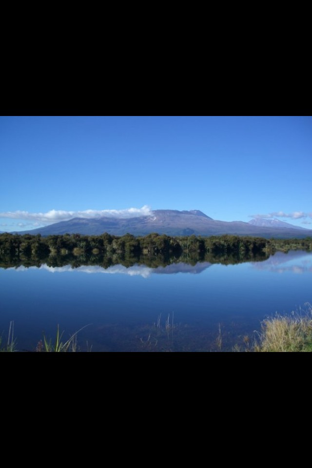 Name:  ImageUploadedByTapatalk1357043200.598332.jpg
Views: 644
Size:  52.4 KB