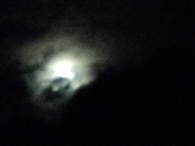 Name:  picture 9519.jpg
Views: 144
Size:  131.3 KB