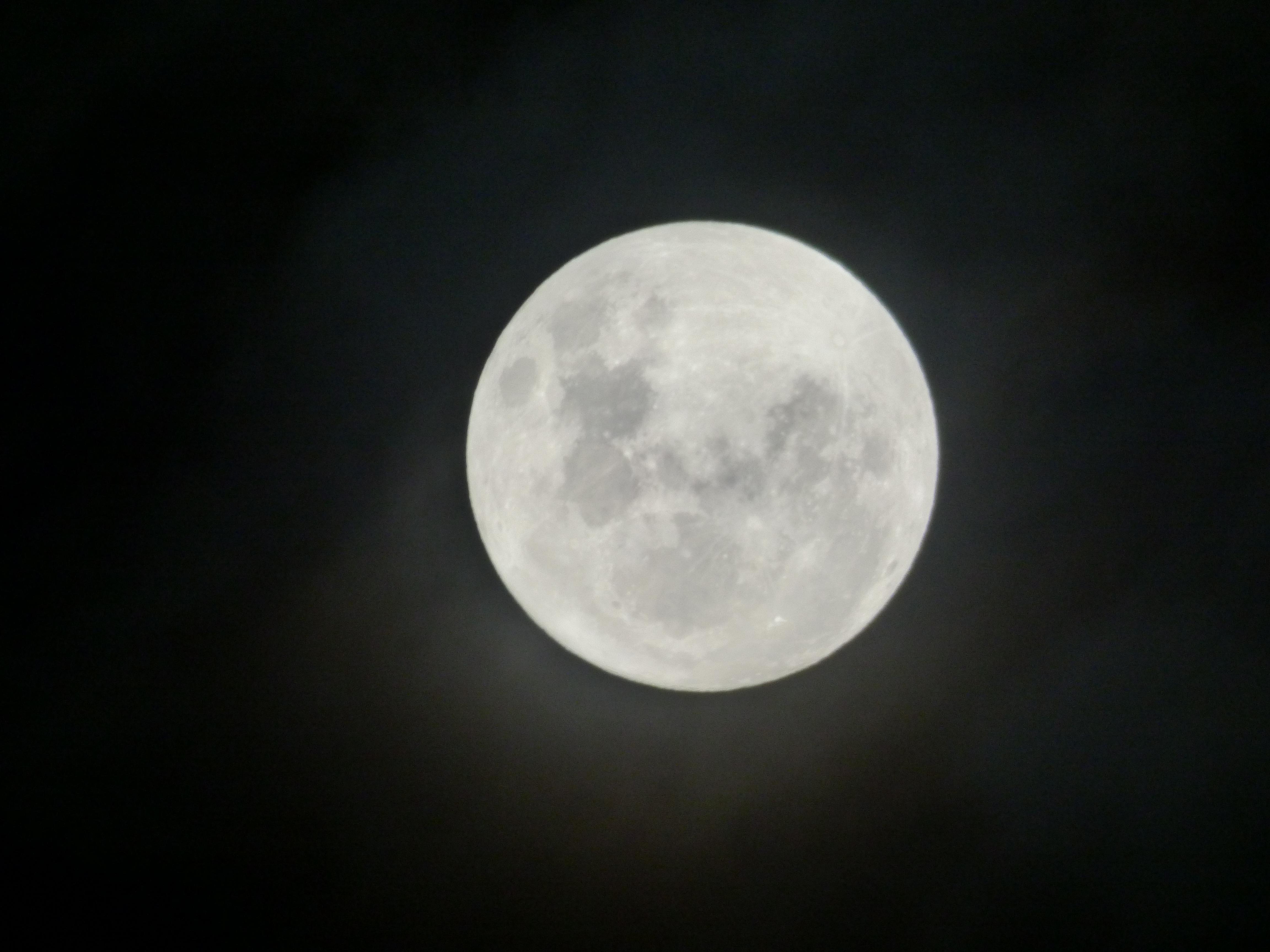 Name:  P1000867.jpg
Views: 223
Size:  934.4 KB