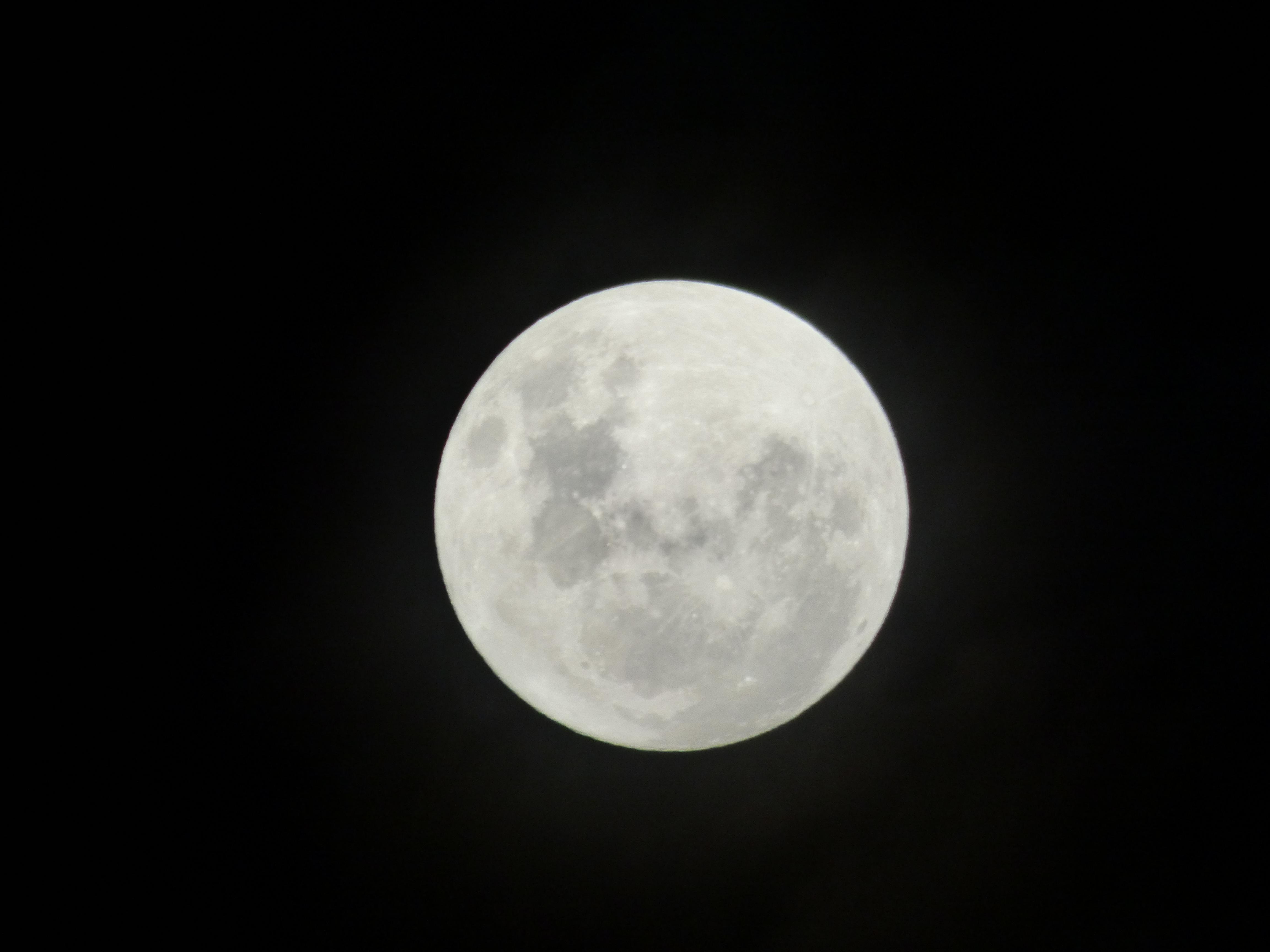 Name:  P1000869.jpg
Views: 198
Size:  498.9 KB