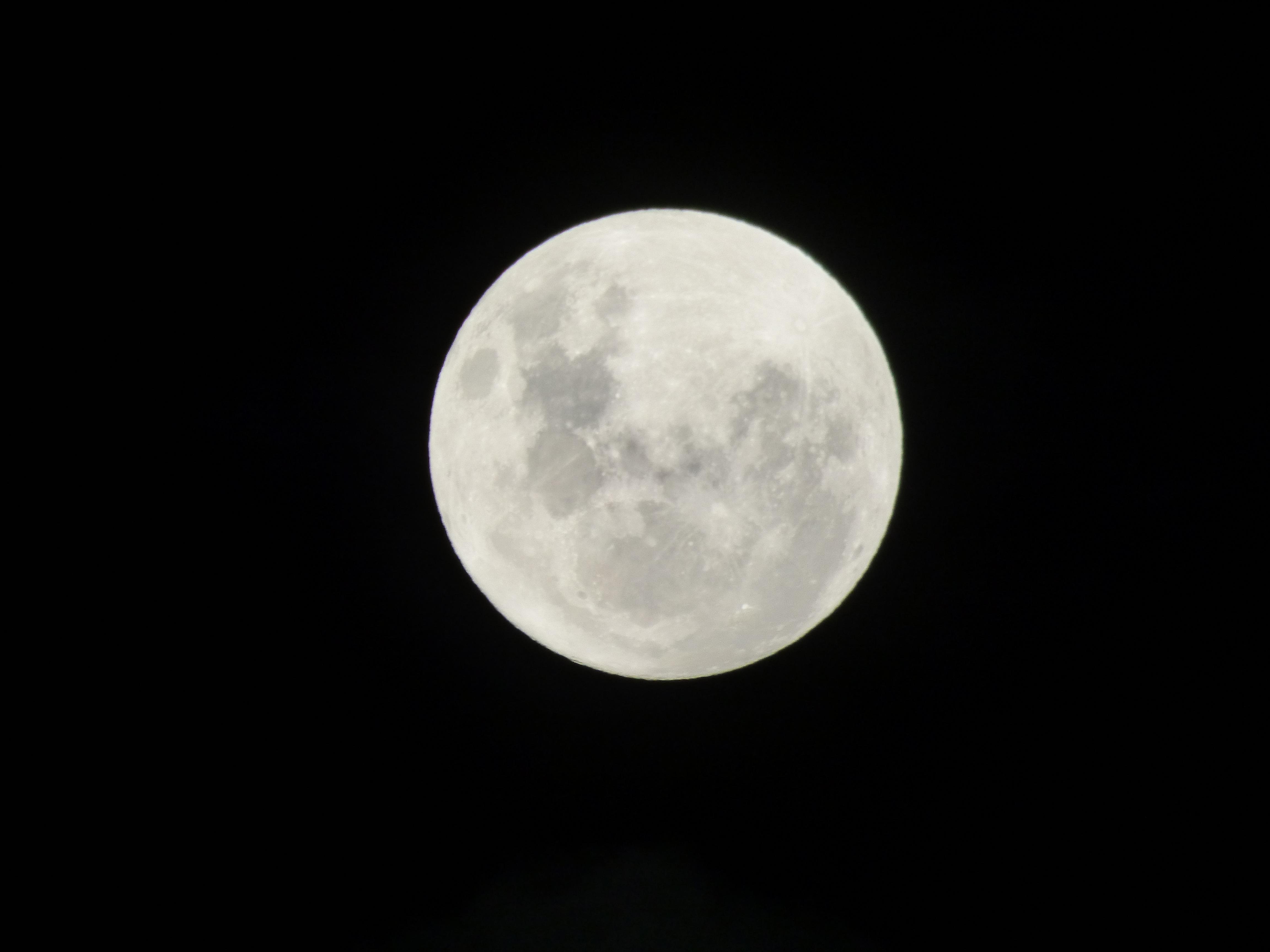 Name:  P1000872.jpg
Views: 196
Size:  423.3 KB