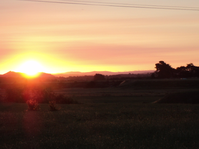 Name:  picture 903.jpg
Views: 564
Size:  165.0 KB