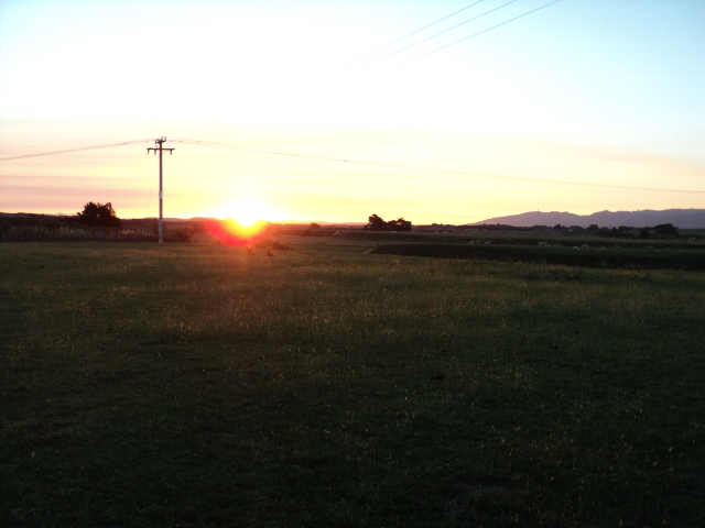 Name:  picture 907.jpg
Views: 375
Size:  161.9 KB