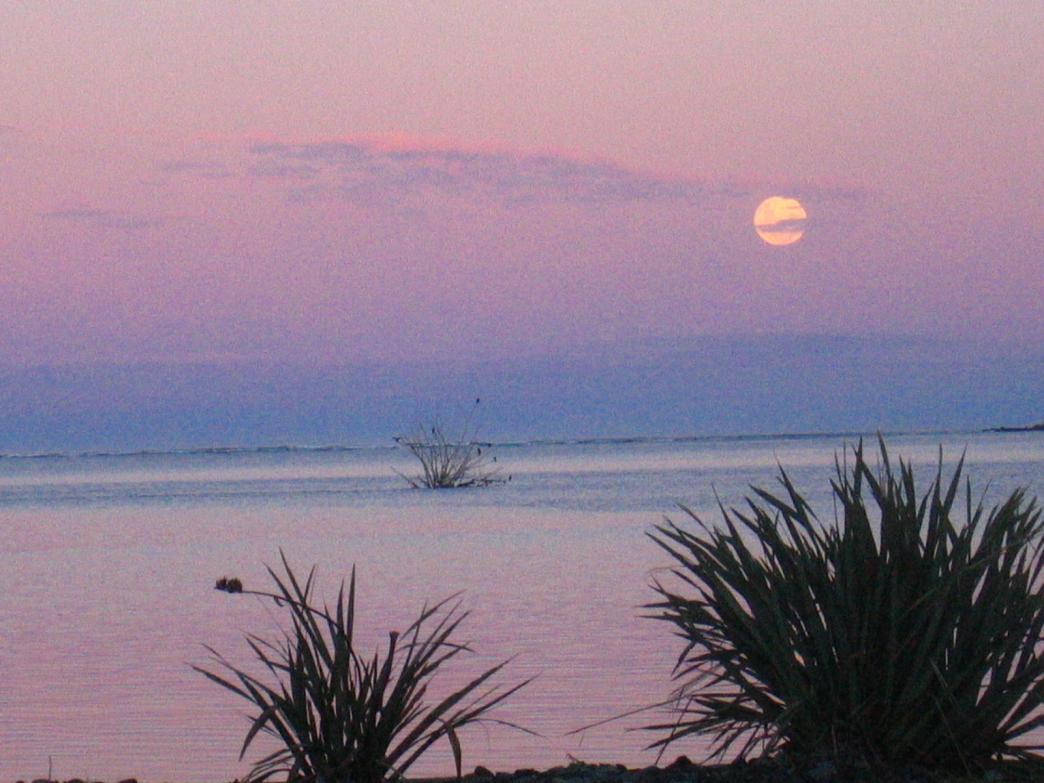 Name:  _0094.jpg
Views: 520
Size:  97.8 KB