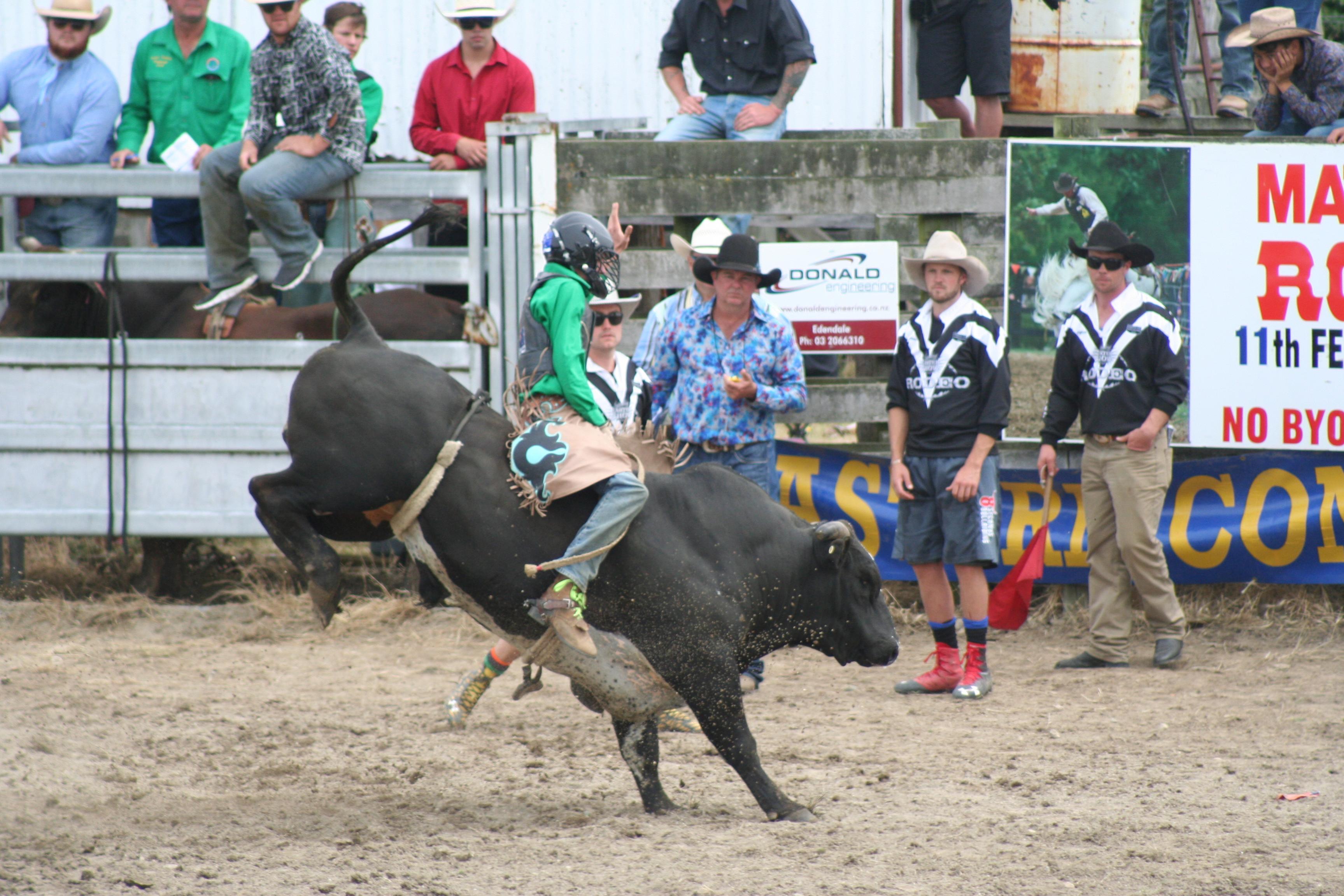 Name:  IMG_9472.jpg
Views: 488
Size:  768.6 KB