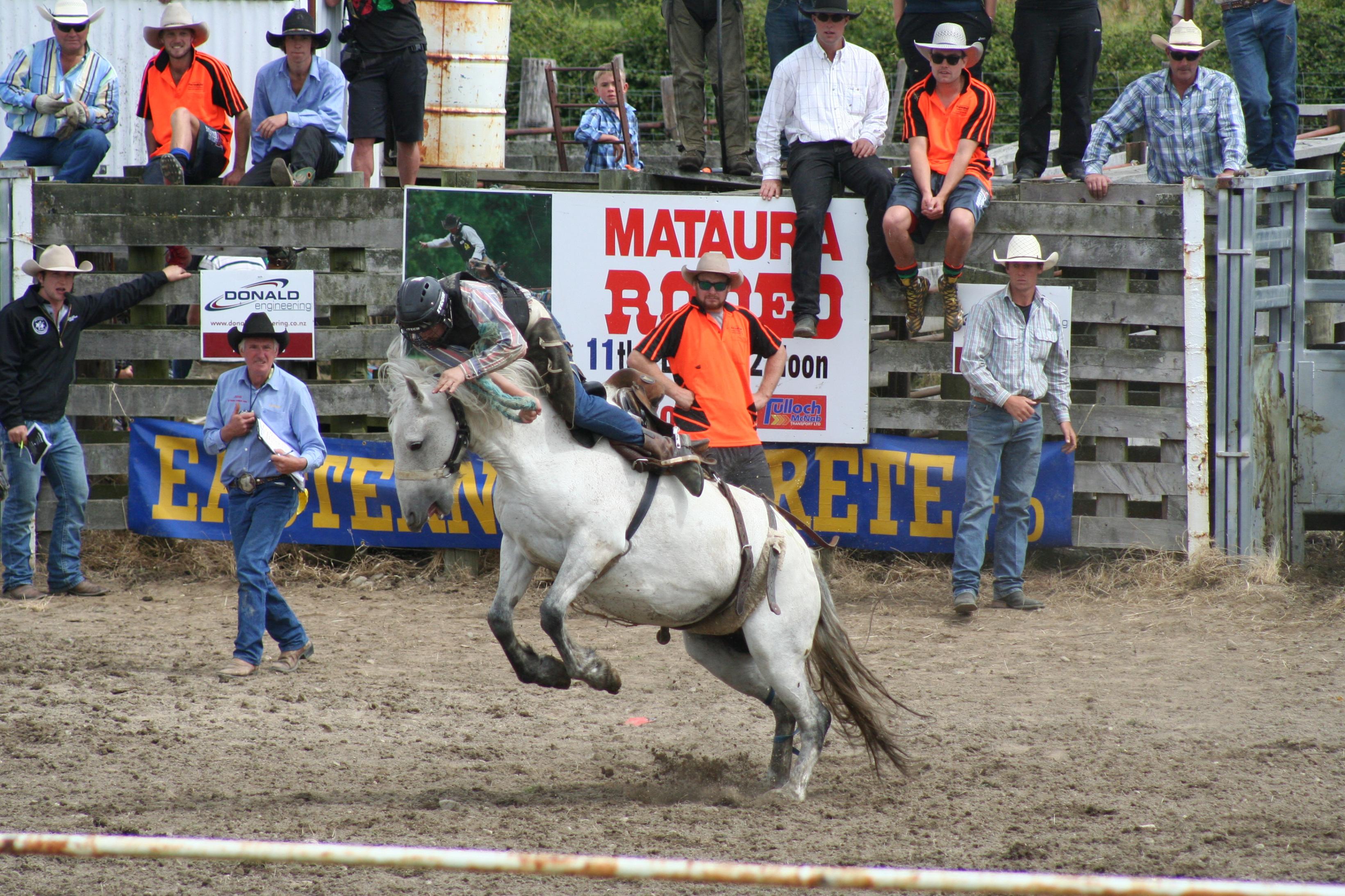 Name:  IMG_9433.jpg
Views: 580
Size:  1,002.0 KB