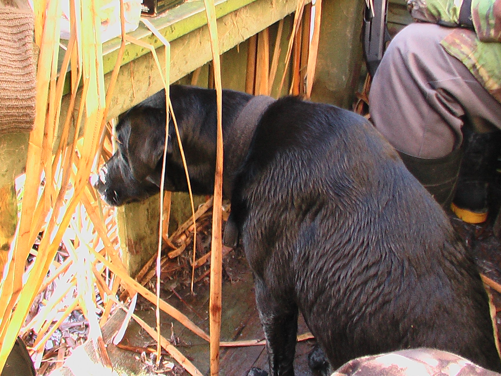 Name:  2011 002.jpg
Views: 840
Size:  565.4 KB