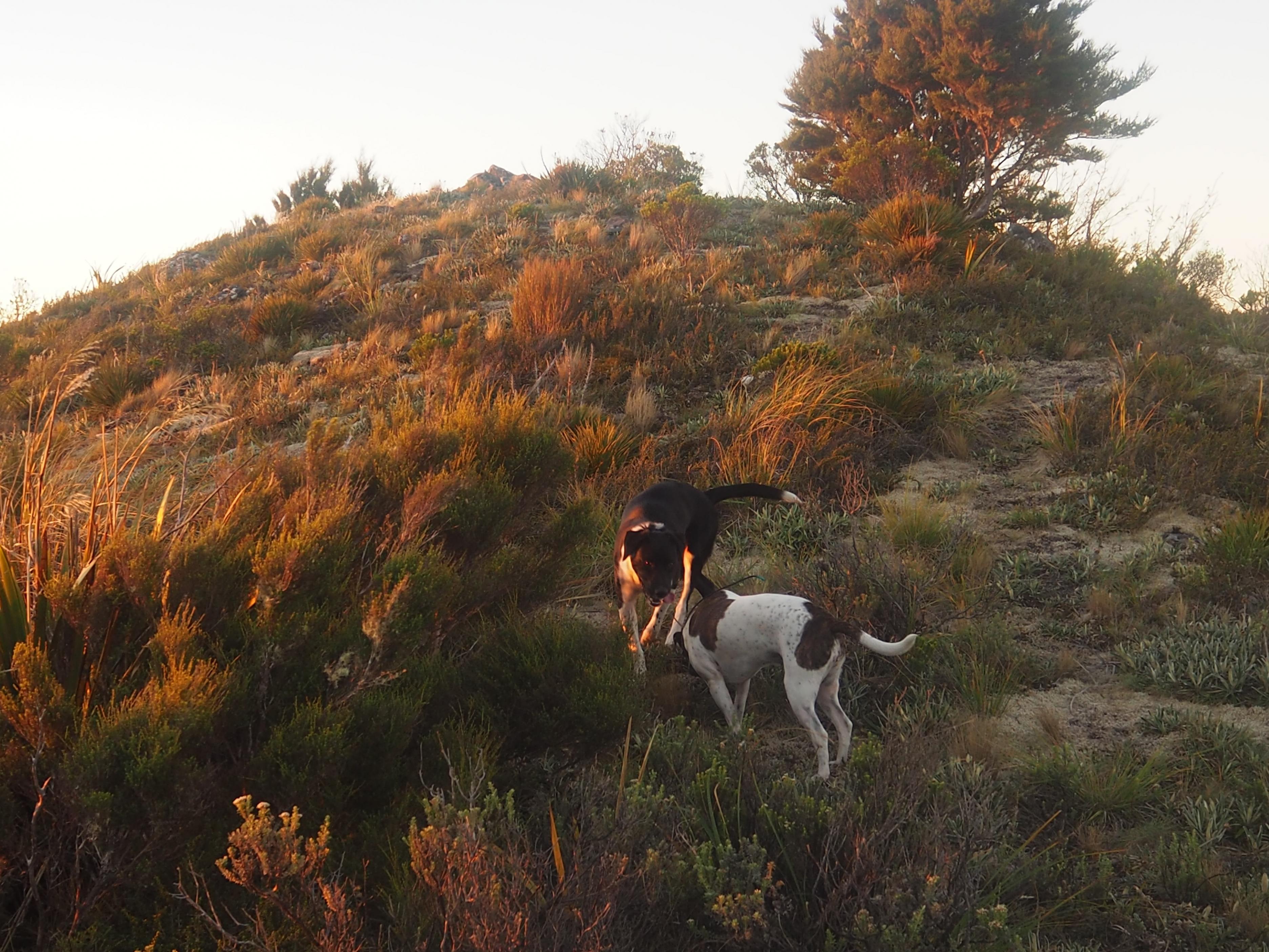 Name:  P3080622.jpg
Views: 664
Size:  1.08 MB