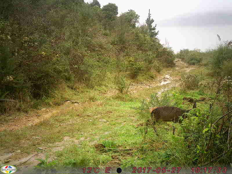 Name:  PIC (9).JPG
Views: 656
Size:  50.3 KB