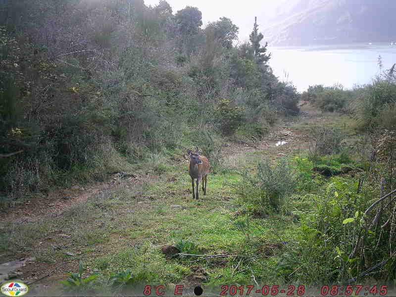 Name:  unnamed.jpg
Views: 515
Size:  69.5 KB