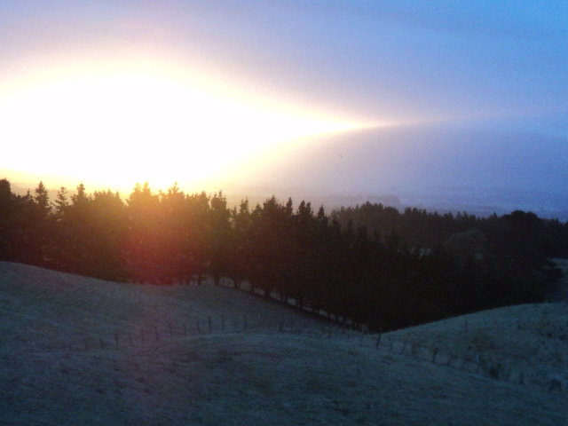 Name:  picture 1105.jpg
Views: 408
Size:  161.5 KB