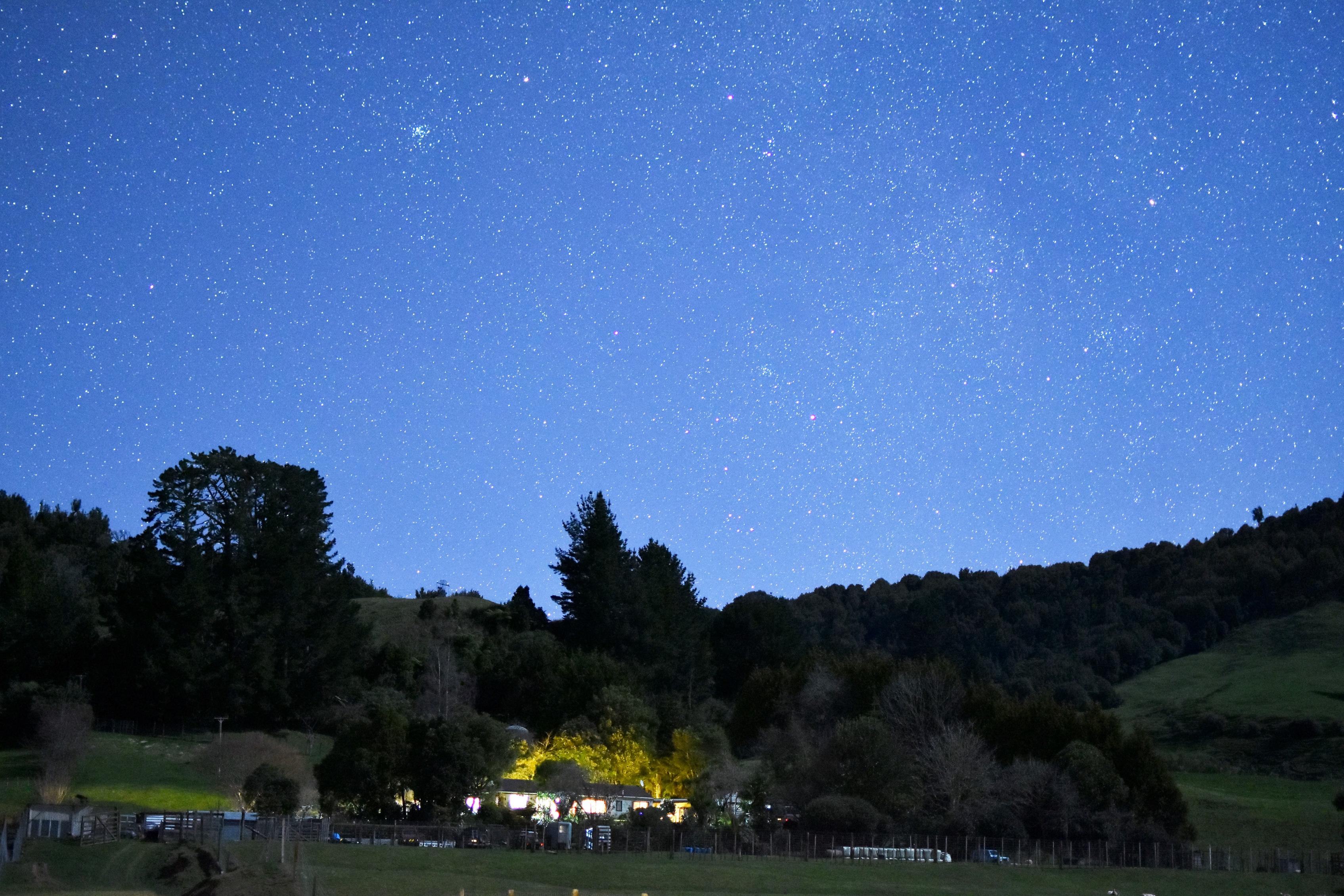 Name:  DSC_0160.jpg
Views: 295
Size:  1.02 MB