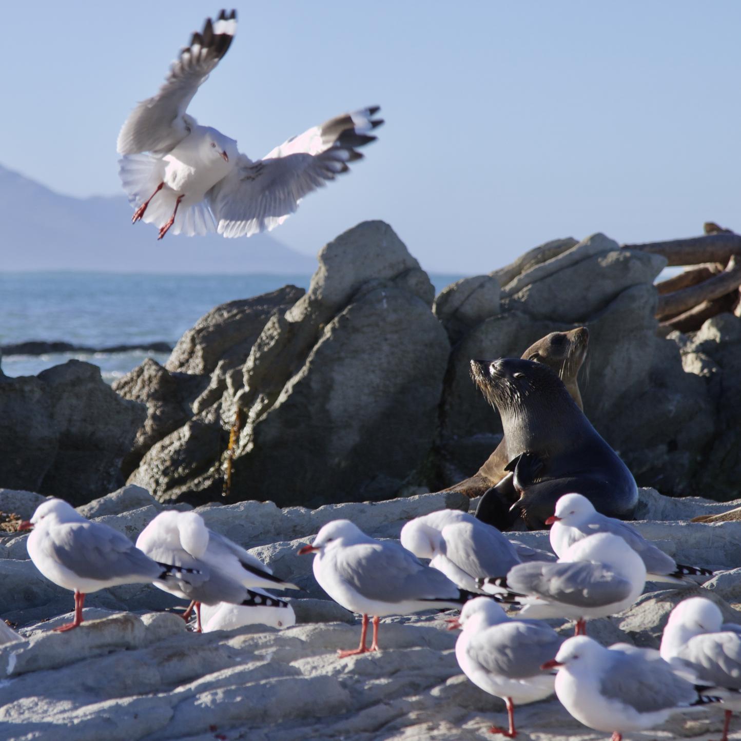 Name:  fullsizeoutput_3246.jpg
Views: 429
Size:  163.8 KB
