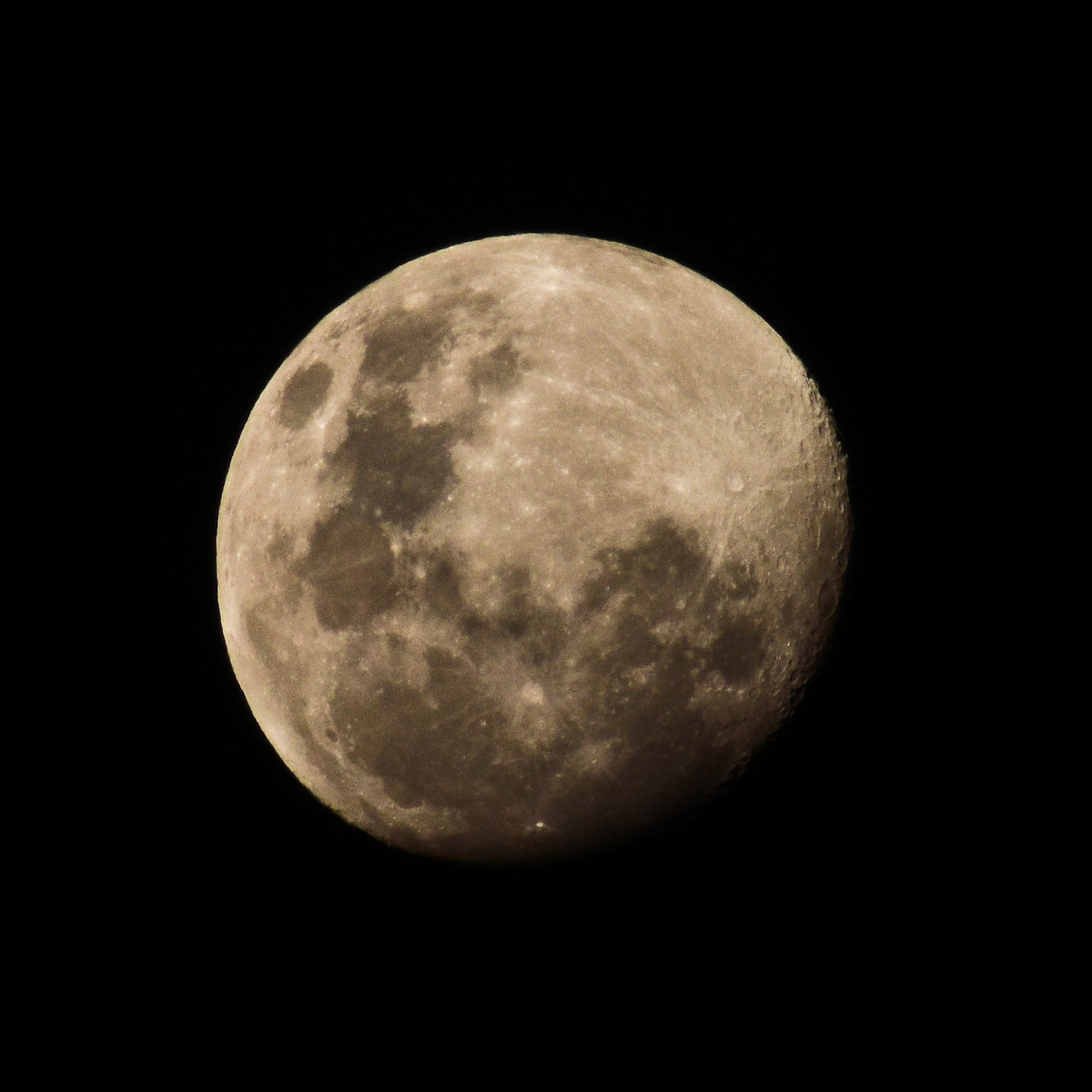 Name:  DSC_6668.jpg
Views: 361
Size:  558.9 KB
