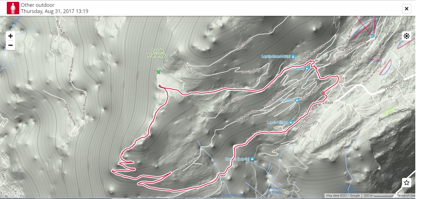 Name:  Leysin Chamoix - Spot X.jpg
Views: 357
Size:  305.3 KB