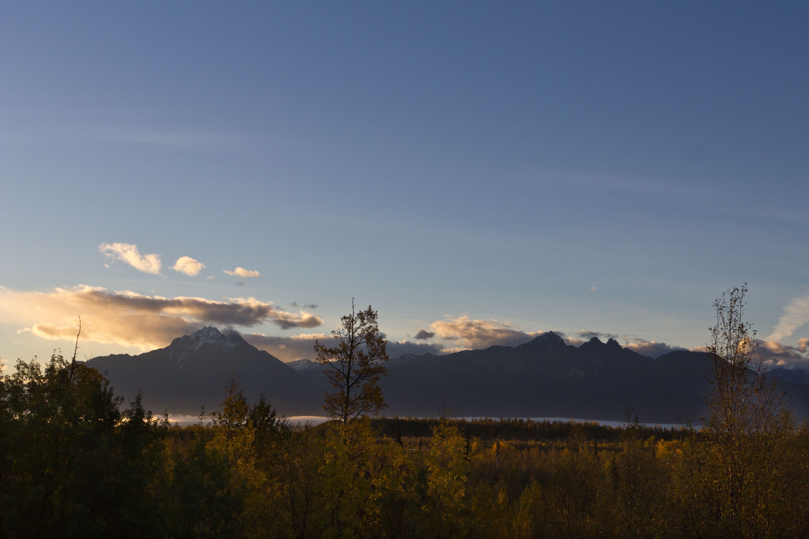 Name:  P203 IMG_6420-4.JPG
Views: 710
Size:  926.3 KB