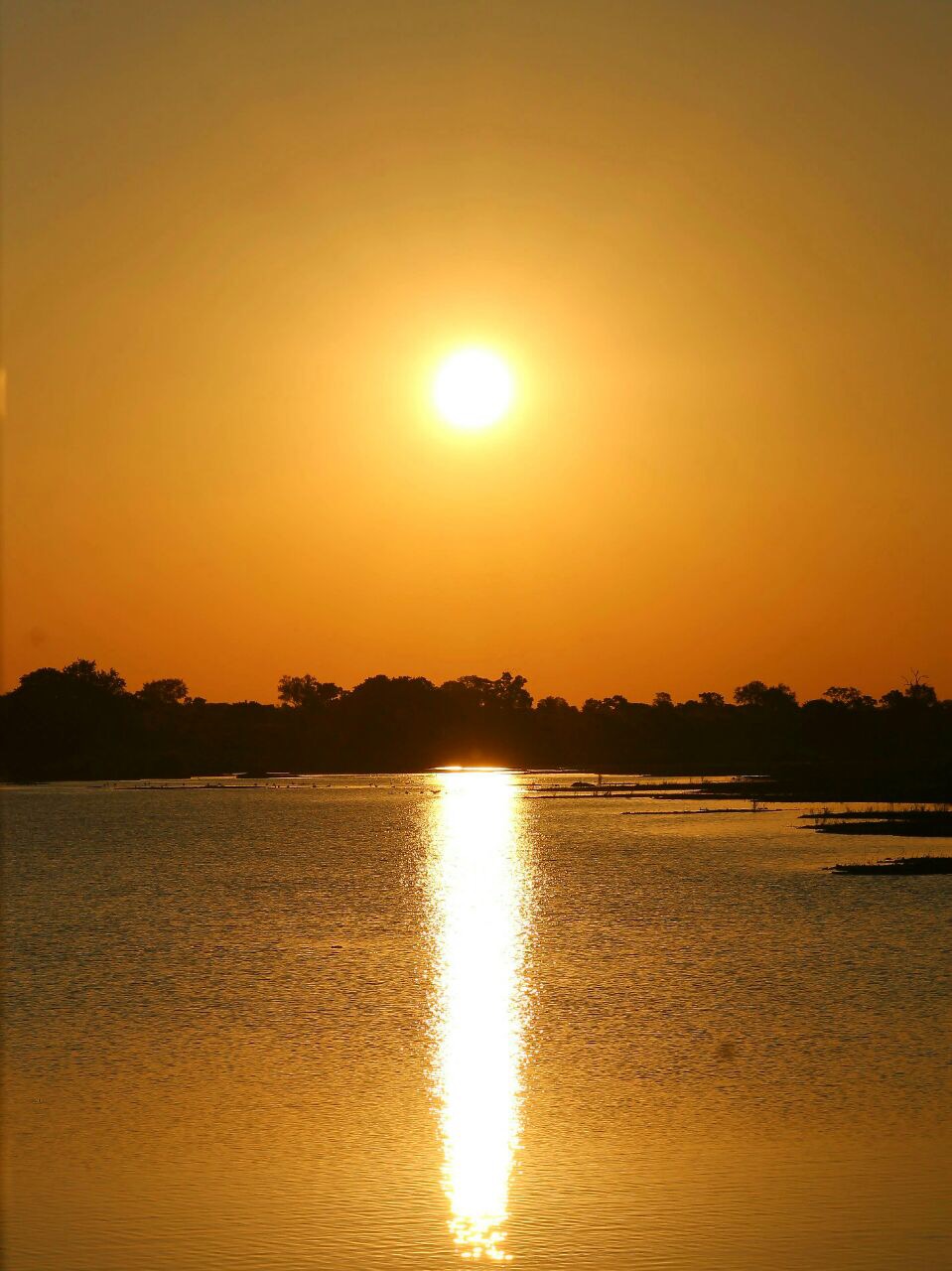 Name:  Photo 4-10-17, 22 30 18.jpg
Views: 449
Size:  209.1 KB