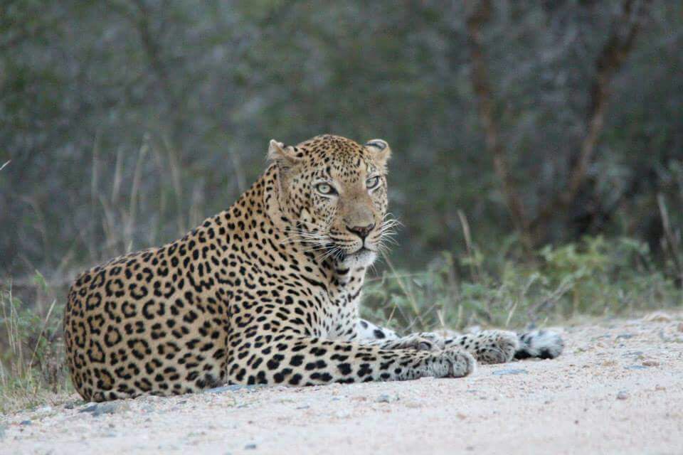 Name:  Photo 4-10-17, 22 30 30.jpg
Views: 290
Size:  116.2 KB