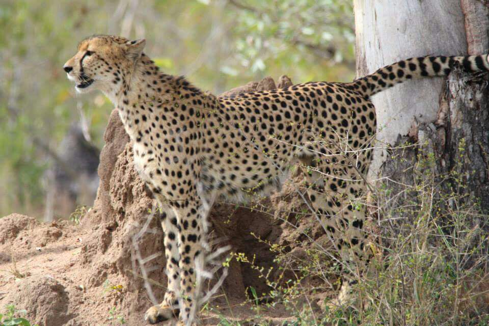 Name:  Photo 4-10-17, 22 30 31 (2).jpg
Views: 313
Size:  181.2 KB