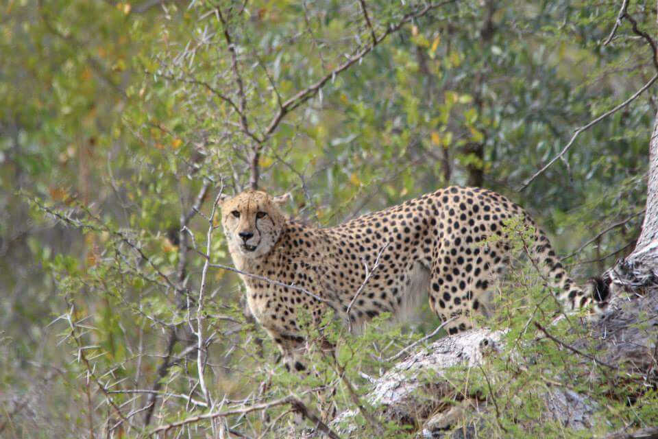 Name:  Photo 4-10-17, 22 30 32.jpg
Views: 348
Size:  168.2 KB
