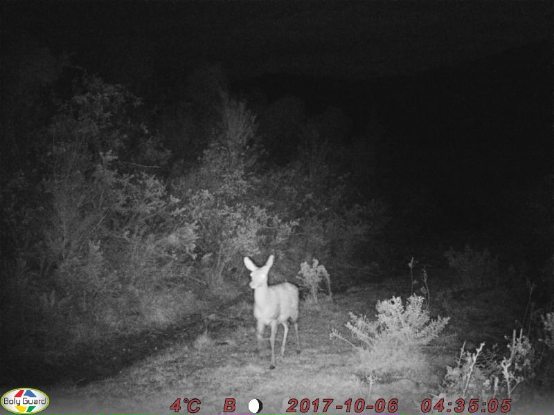 Name:  0052.JPG
Views: 588
Size:  63.8 KB