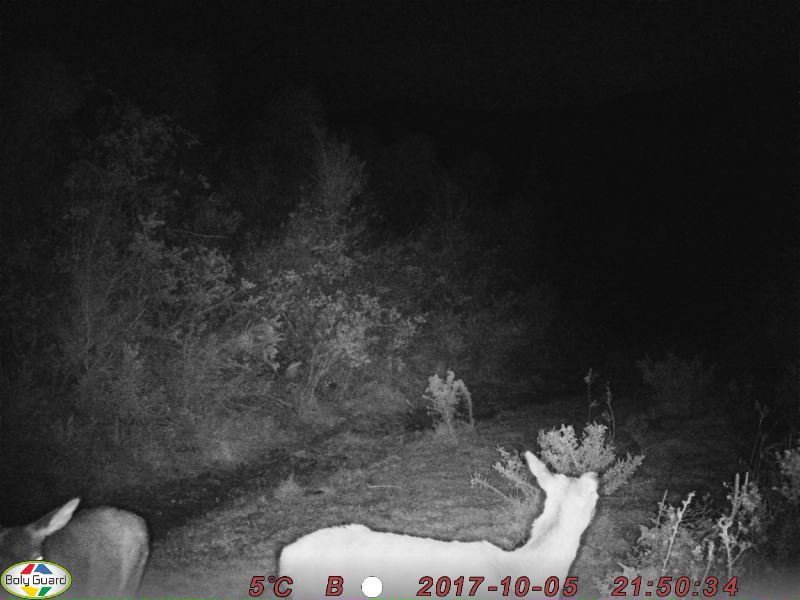 Name:  0049.JPG
Views: 551
Size:  56.1 KB